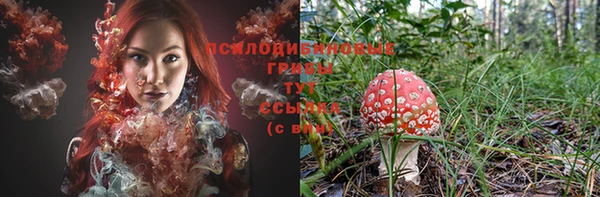 стаф Инсар