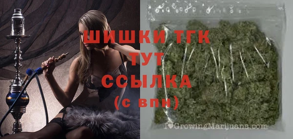 тгк Зеленодольск