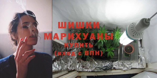 стаф Инсар